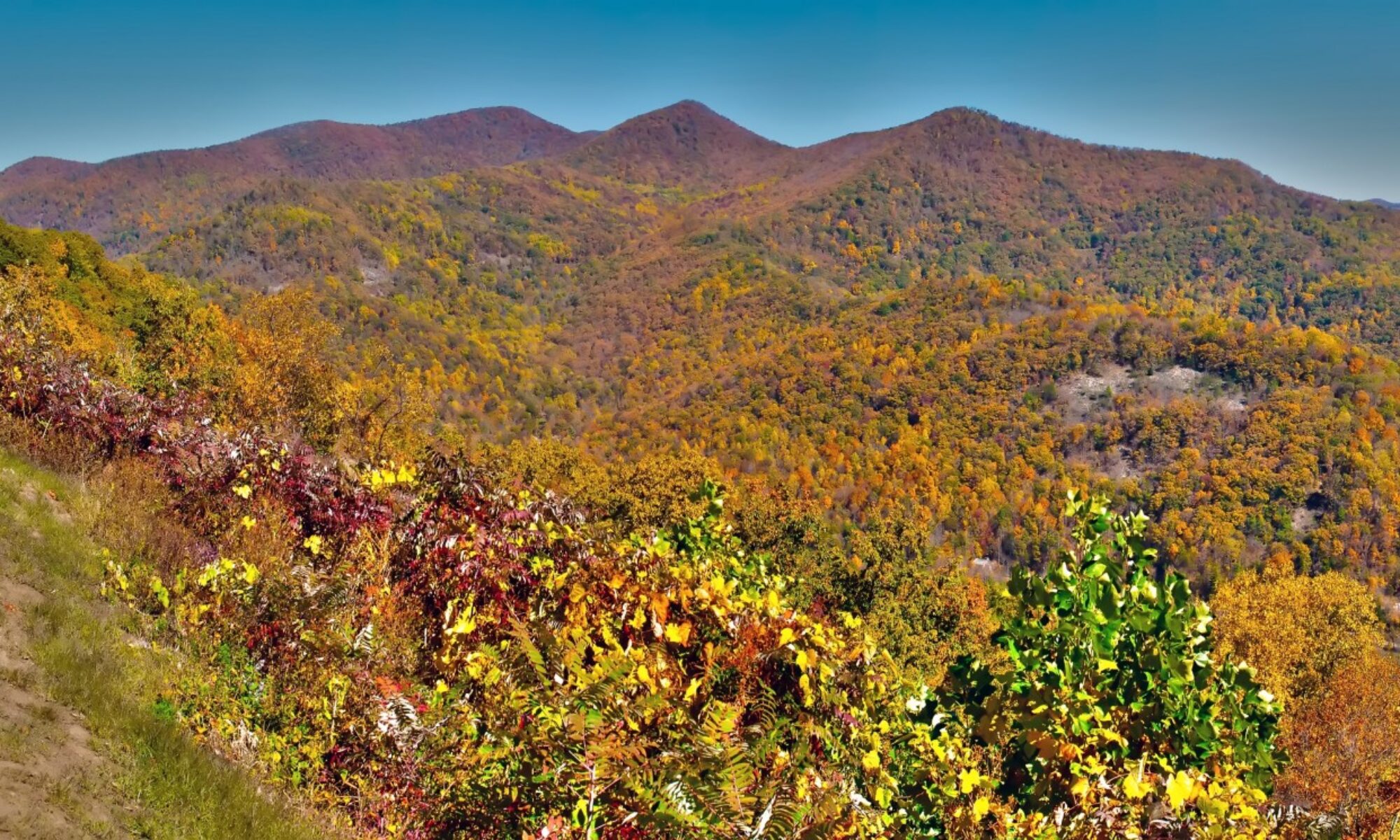 photo showing mountains with trees with red, orange, and yellow leaves